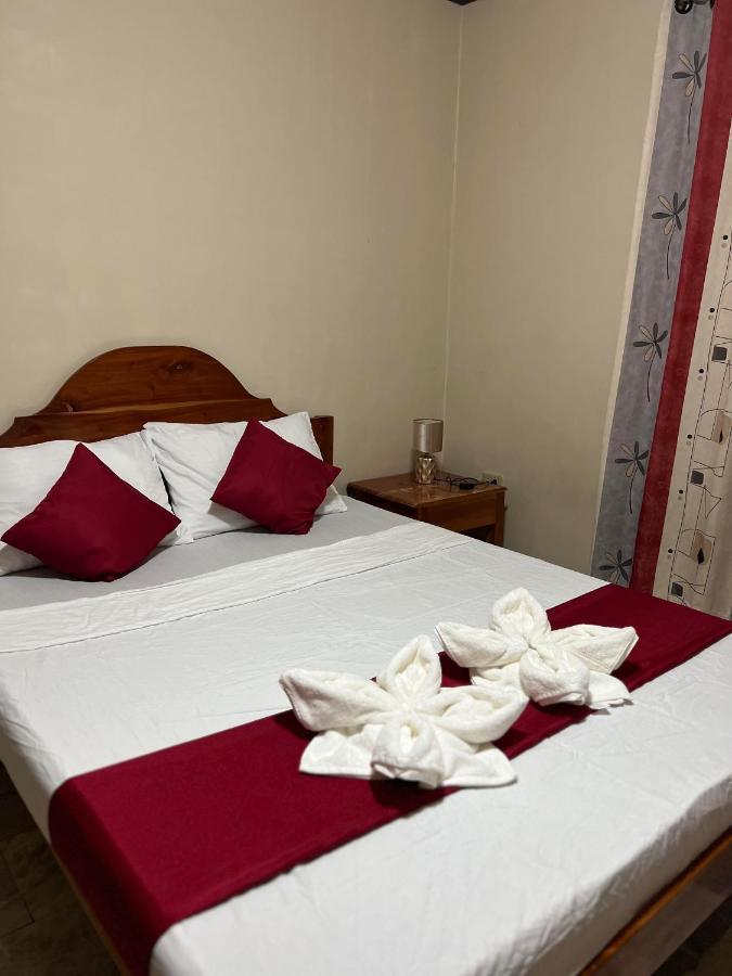 Dreamcatcher Hostel 莫阿尔博阿 外观 照片