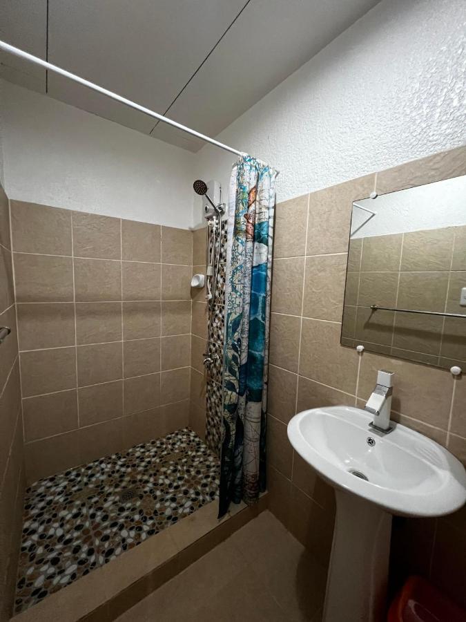 Dreamcatcher Hostel 莫阿尔博阿 外观 照片