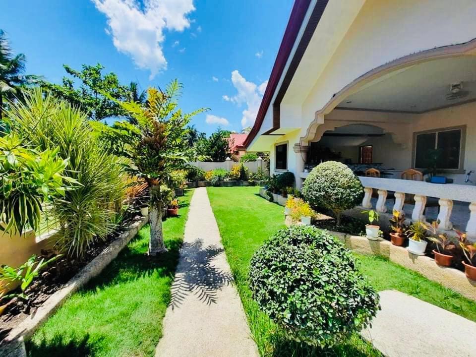 Dreamcatcher Hostel 莫阿尔博阿 外观 照片