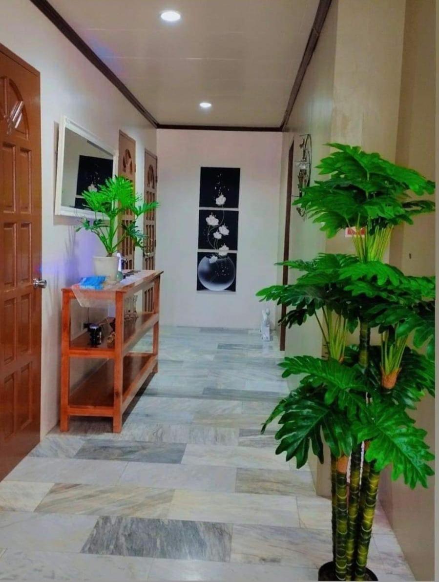Dreamcatcher Hostel 莫阿尔博阿 外观 照片